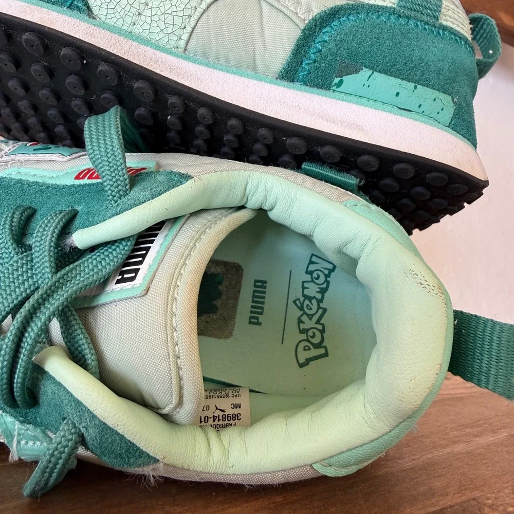 Puma rider fv